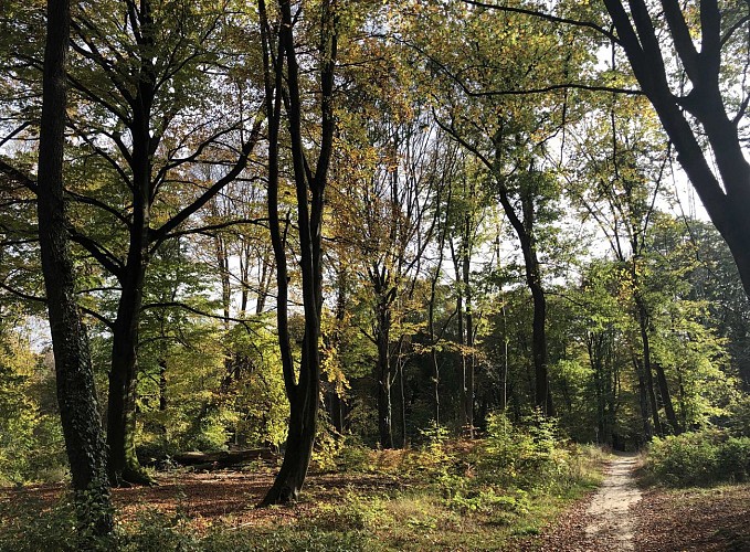 Du Bois de Neuville au Bois de la Vecquée - Val et Oli