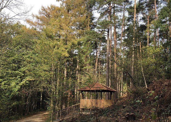 Bois de Hal - Val et Oli