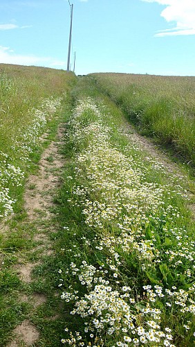 Sentier du Grand Alprech