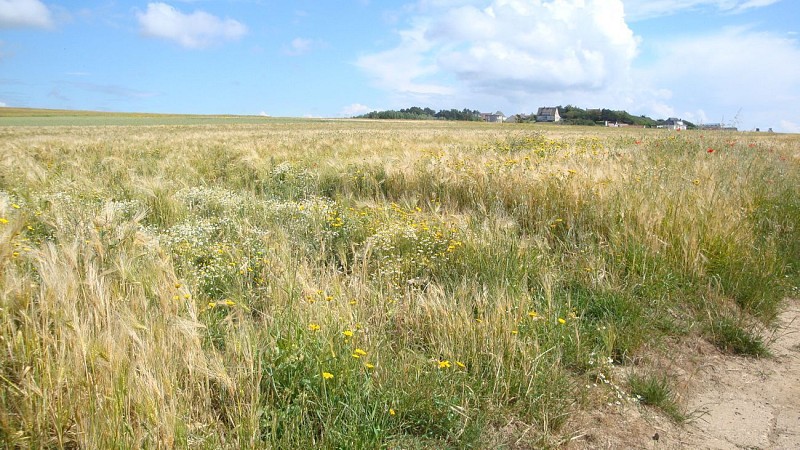 Sentier du Grand Alprech