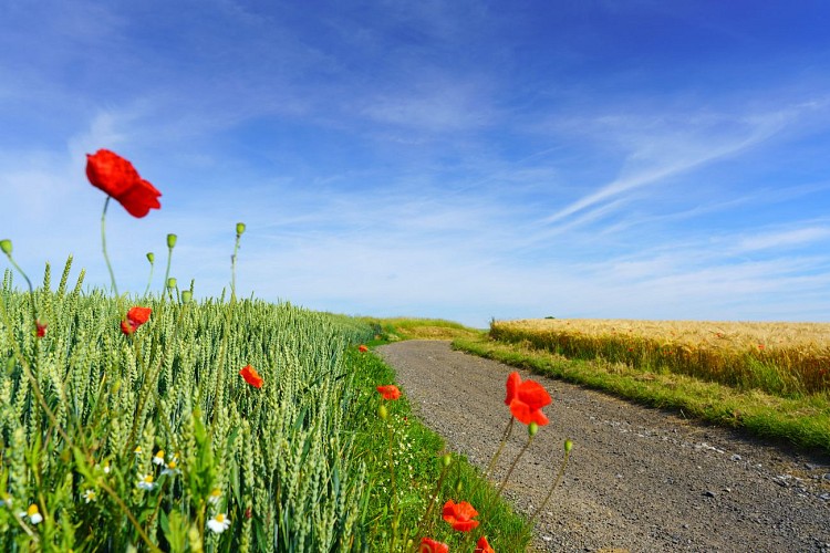 MTSO_Villeret_24062019_0003