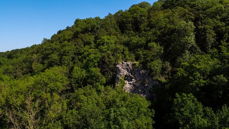 MTSO_SPY_28062019_0061