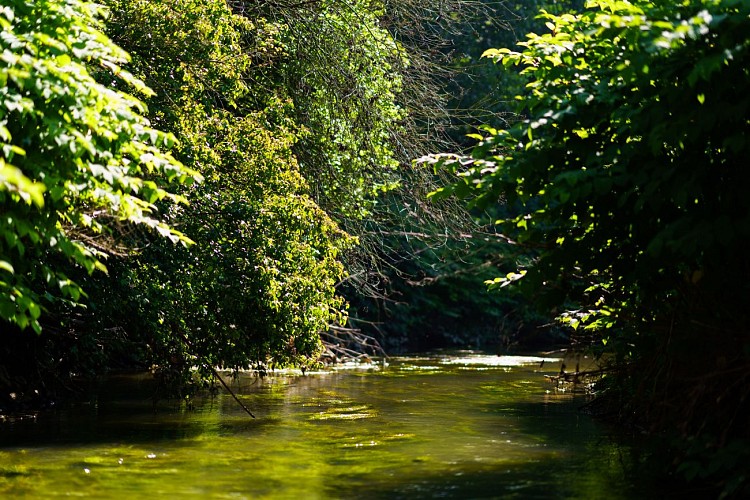 MTSO_SPY_28062019_0041