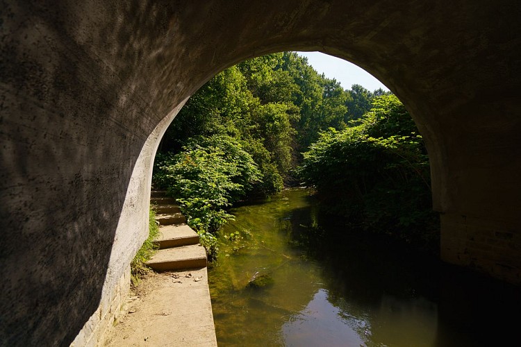 MTSO_SPY_28062019_0040