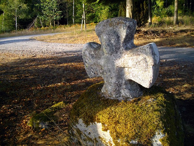 VTT - Gravel - La cime des bois - 50 km - circuit 7