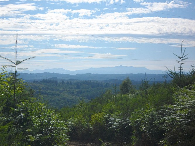 POIs_5_Massif_Sancy_Victorien_Mendras