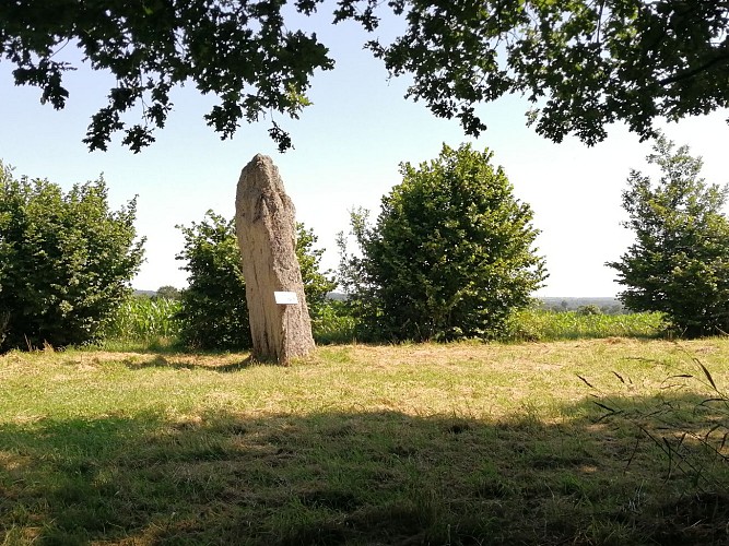 Menhir de la Pierre Longue Iffendic