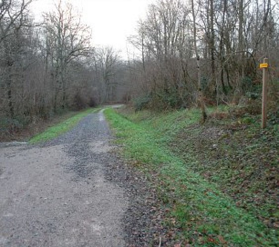 Circuit du Mont Renard