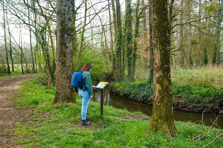 Vallée de la Vaunoise