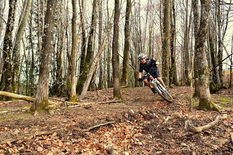 CIRCUIT VTT N°19 ROUGE - ESPACE VTT-FFC SALVETAT / HAUT LANGUEDOC