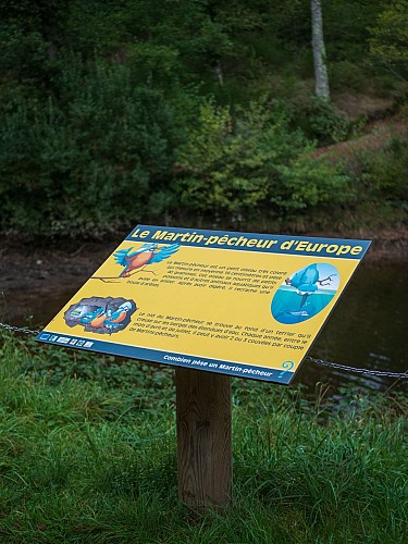 Plan d'eau de St Clément