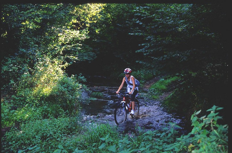 Passage-a-gue-anglin-3-d