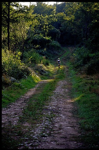 Chemin-avec-Delphine-pres-Luzeraize-d