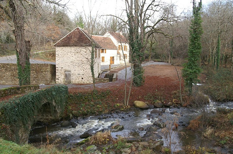 Les gorges de l'Anglin
