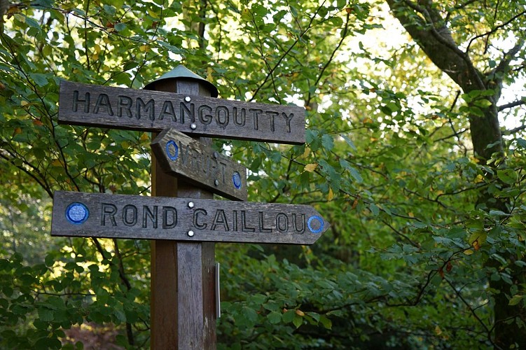 Randonnée - les hauts de Saint-Nabord