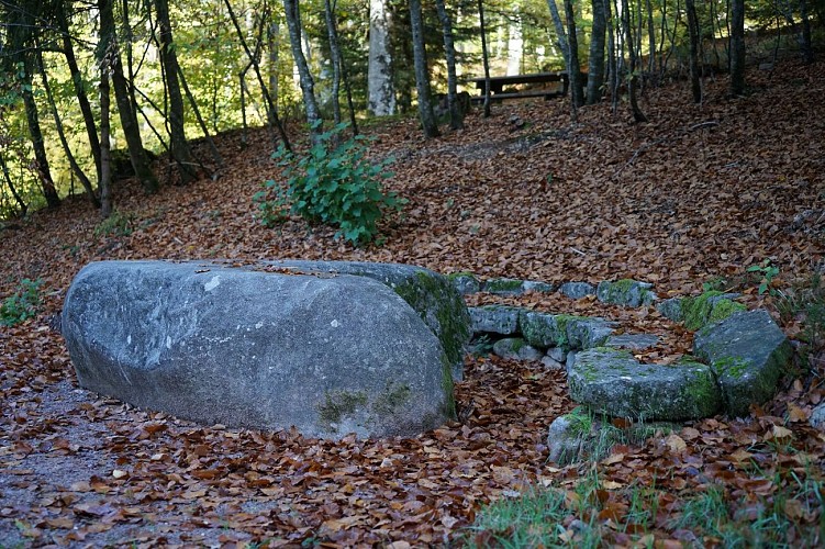 Randonnée - les hauts de Saint-Nabord