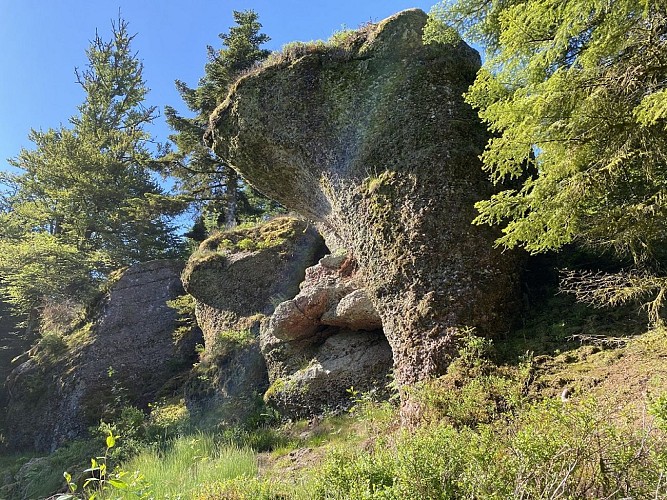 Randonnée - les poudingues et la roche tocquaine