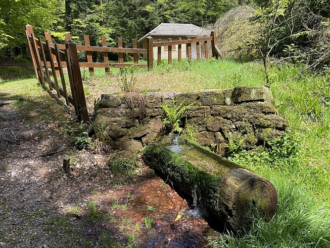 Randonnée - les vieilles abbayes