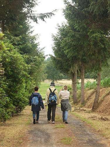 Circuit n° 3  Entre Deux Vallées