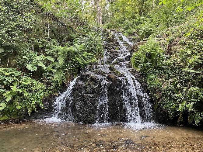 Randonnée - la cascade de faymont