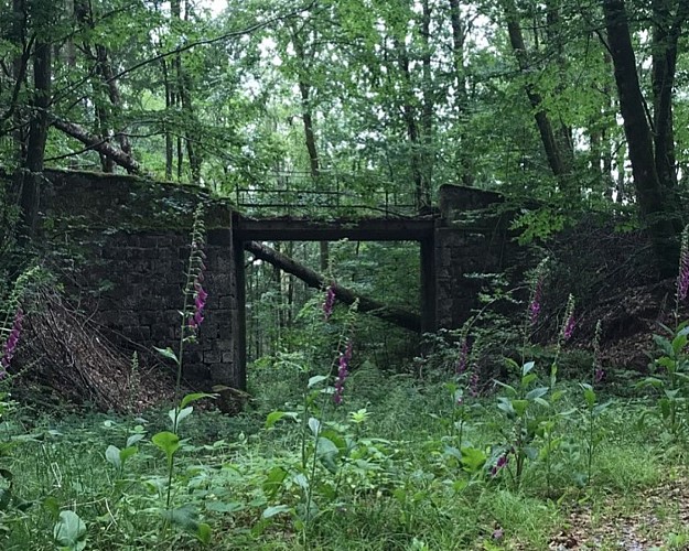 Randonnée - la vallée de la semouse