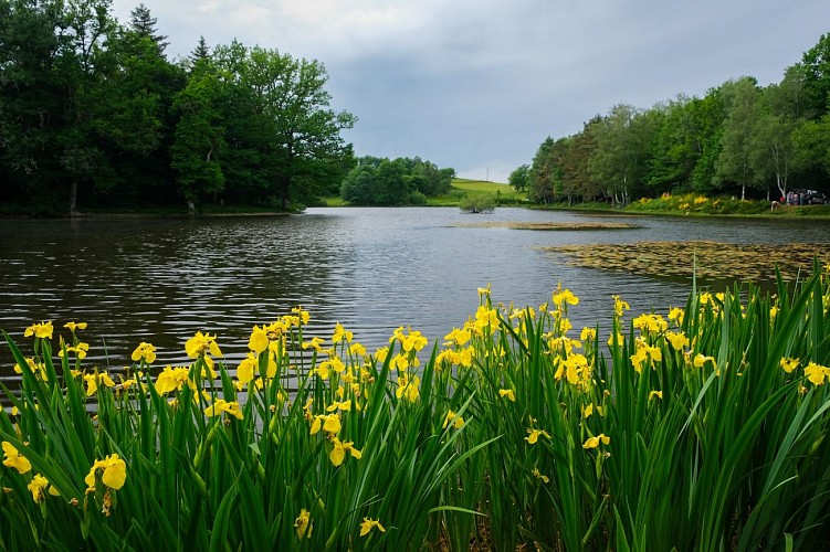 Randonnée - l'étang de la demoiselle