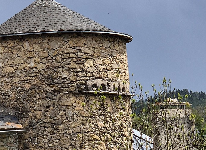 La montée du Causse par Dargilan_Meyrueis