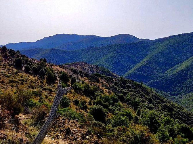 Col Salidès_L'Esperou