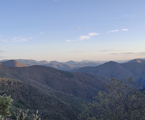 Col Salidès_L'Esperou