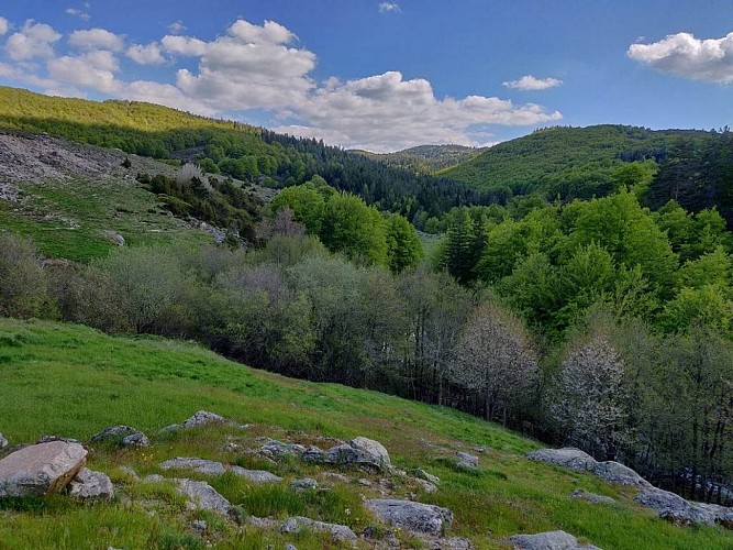 Espace VTT Massif de l'Aigoual - Circuit 14 Le défi des 3 rivières