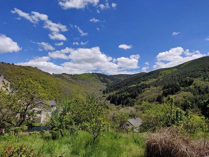 Espace VTT Massif de l'Aigoual - Circuit 14 Le défi des 3 rivières