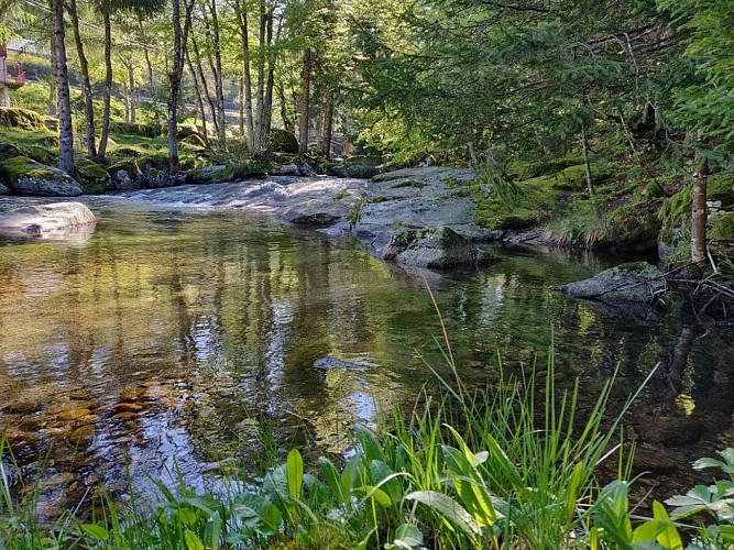 circuit 6 vtt camprieu