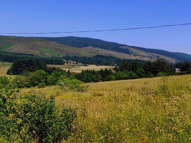 Espace VTT Massif de l'Aigoual - Circuit 9
