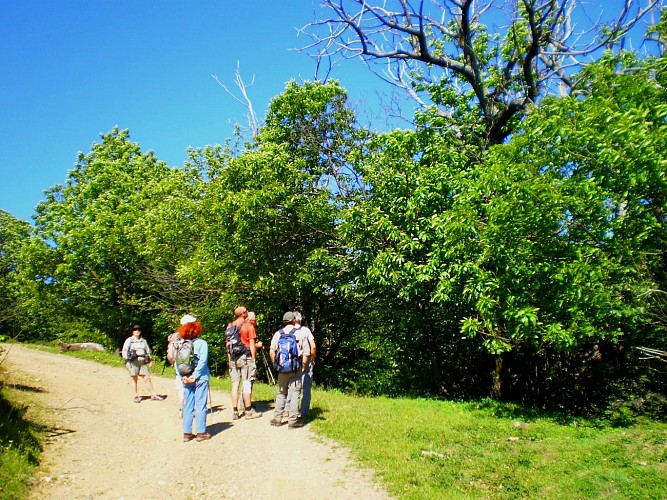 sentier de la palombe