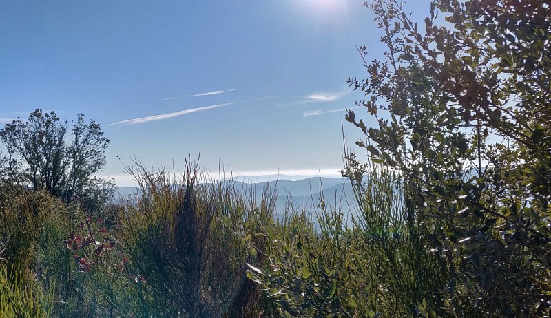 Sentier de Valescure