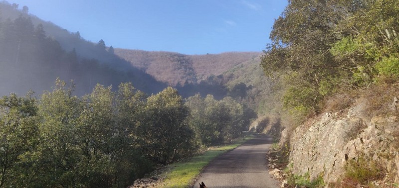 Sentier de Valescure