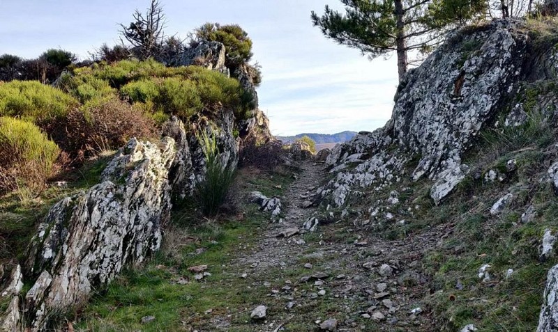 sentier des chars