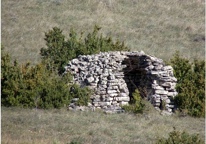 Sentier du Renard