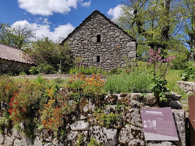 En bordure des Causses_L'Esperou