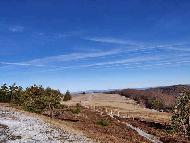 En bordure des Causses_L'Esperou