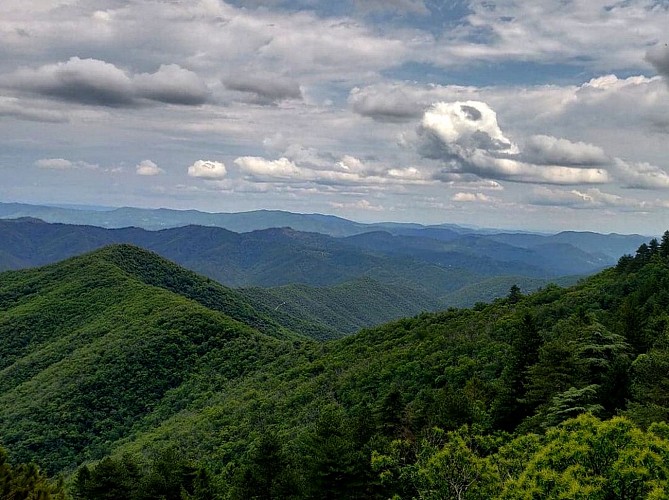 Les sources du Borgne_Valleraugue