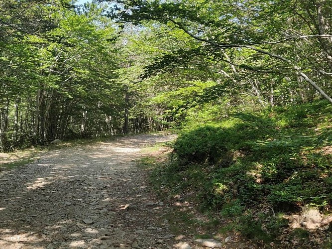 Espace VTT Massif de l'Aigoual - Circuit 2