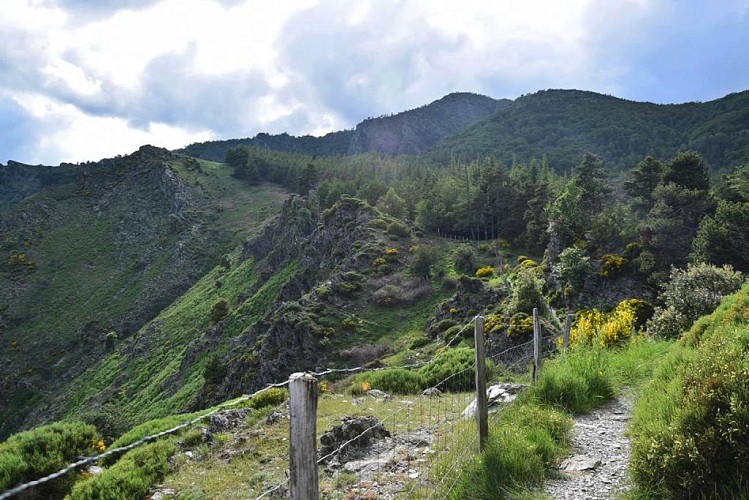 Entre l'Aigoual et Aire de Côte