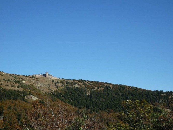 Sentier de la Dauphine