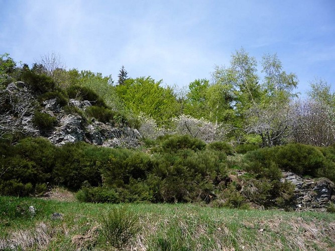 Sentier de la Dauphine