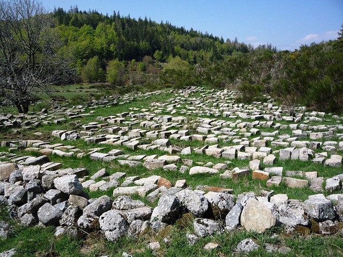 Sentier de la vallée du Bonheur