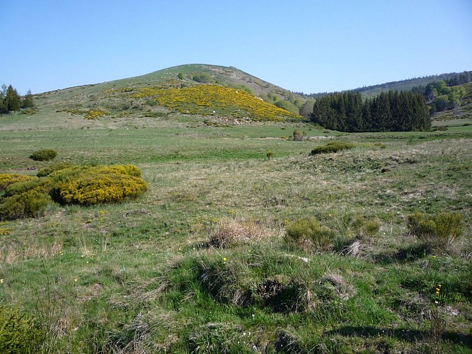 Sentier de la vallée du Bonheur