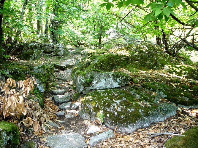 Sentier des Rouquis