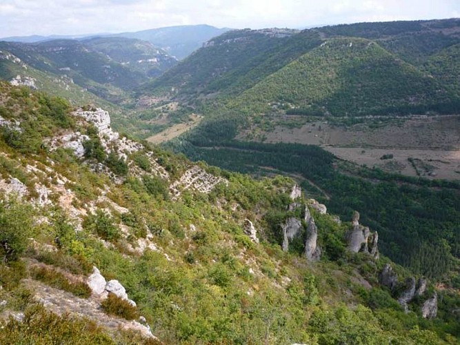 Gorges du bout du Causse
