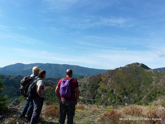 sentier du mouflon les plantiers